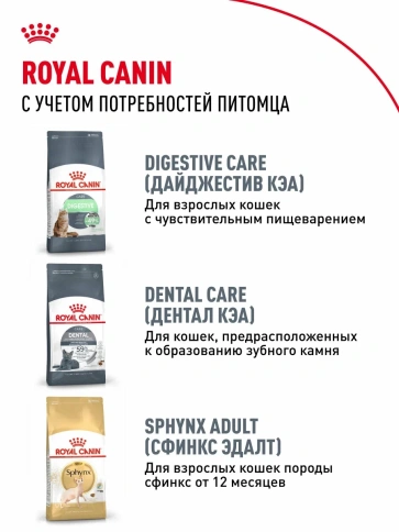 Сухой корм Royal Canin Sphynx Kitten для котят породы сфинкс до 12 месяцев, 400 г фото 8