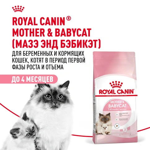 Сухой Корм Royal Canin MOTHER AND BABYCAT (МАЗЕР ЭНД БЕБИКЭТ)Питание для котят в возрасте с 1 до 4 месяцев, а также беременных и лактирующих кошек фото 12