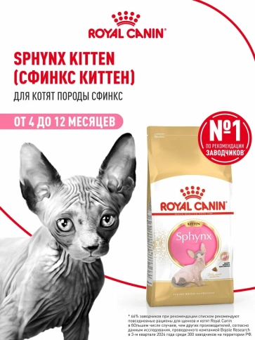 Сухой корм Royal Canin Sphynx Kitten для котят породы сфинкс до 12 месяцев, 400 г фото 12