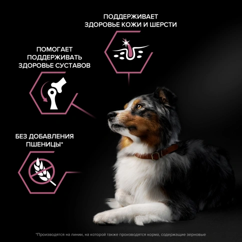 Сухой корм Purina Pro Plan Sensitive Skin для взрослых собак средних пород, с лососом, 3 кг фото 2