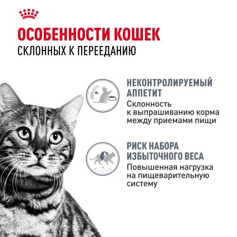 Сухой Корм Royal Canin APPETITE CONTROL CARE (АППЕТАЙТ КОНТРОЛ КЭА)Питание для кошек в возрасте от 1 года и старше. Контроль выпрашивания корма у кошек, предрасположенных к набору лишнего веса, в том числе после стерилизации, 2 кг фото 2
