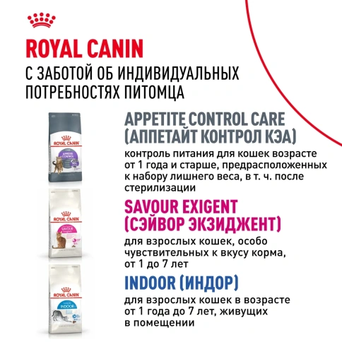 Сухой корм Royal Canin Sensible 33 для кошек с чувствительной пищеварительной системой, 2 кг фото 9