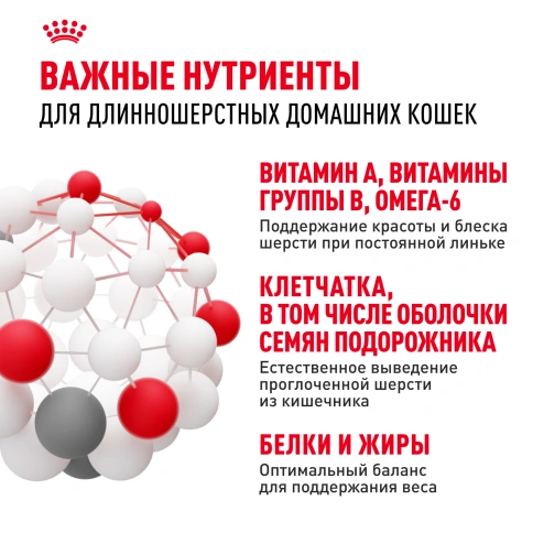 Сухой Корм Royal Canin INDOOR LONG HAIR (ИНДОР ЛОНГ ХЭЙР)Питание для длинношерстных и полудлинношерстных кошек, живущих в помещении, в возрасте от 1 года до 7 лет, способствует поддержанию красоты и блеска шерсти, выведению волосяных комочков, 2 кг фото 5