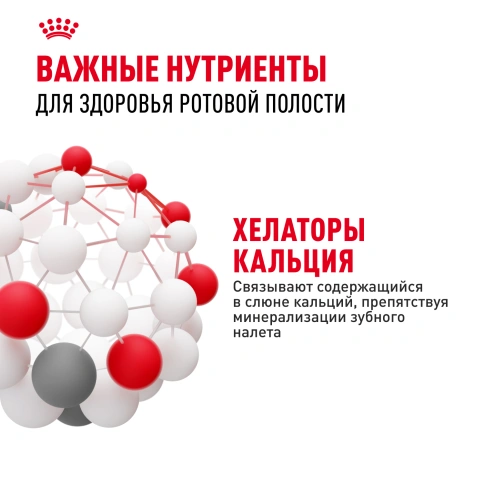 Сухой Корм Royal Canin DENTAL CARE (ДЭНТАЛ КЭА)Питание для кошек в возрасте от 1 года и старше, обеспечивает гигиену полости рта и снижает образование зубного налета на 59 % за 28 дней, 1,5 кг фото 5