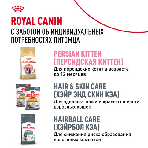Сухой Корм Royal Canin PERSIAN (ПЕРСИАН)Специальное питание для кошек персидской породы, а также для кошек экзотической короткошерстной породыв возрасте от 1 года и старше, 2 кг фото 10