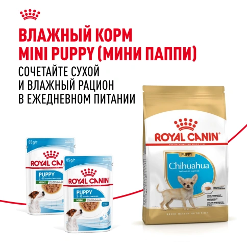 Сухой корм Royal Canin Chihuahua Puppy для щенков породы чихуахуа, 1.5 кг фото 8