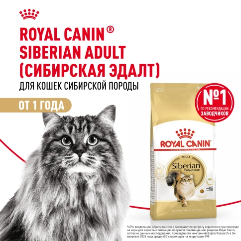 Сухой Корм Royal Canin SIBERIAN (САЙБЕРИАН)Специальное питание для кошек сибирской породы, в возрасте от 1 года и старше, 2 кг фото 12