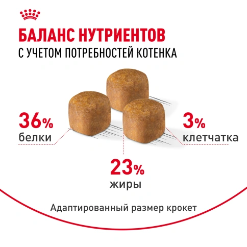 Сухой Корм Royal Canin KITTEN MAINE COON (КИТТЕН МЕЙН-КУН) Birth &amp; GrowthСпециальное питание для котят породы мейн-кун, а также для сибирских, норвежских лесных и других крупныхполудлинношерстных котят в возрасте от 3 до 15 месяцев фото 4