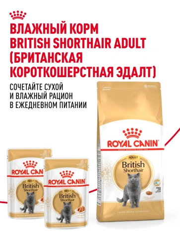 Сухой Корм Royal Canin BRITISH SHORTHAIR (БРИТИШ ШОРТХЭЙР)Специальное питание для кошек породы британская короткошерстная, а также для кошек породы шотландская вислоухая в возрасте от 1 года и старше, 2 кг фото 26