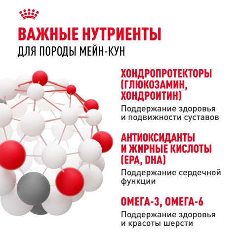 Сухой Корм Royal Canin MAINE COON (МЕЙН-КУН)Специальное питание для кошек породы мейн-кун, а также для кошек крупных размеров: сибирской,норвежской лесной и других, в возрасте от 15 месяцев и старше фото 4