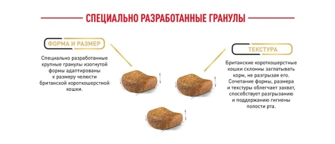 Сухой Корм Royal Canin MAINE COON (МЕЙН-КУН)Специальное питание для кошек породы мейн-кун, а также для кошек крупных размеров: сибирской,норвежской лесной и других, в возрасте от 15 месяцев и старше фото 20