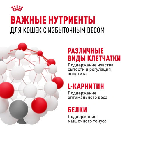 Влажный корм Royal Canin Light Weight Care в желе для взрослых кошек, склонных к полноте, пауч, 85 г фото 6