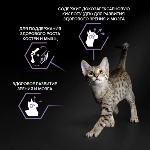 Сухой корм Purina Pro Plan Healthy Start Kitten для котят, с курицей, 3 кг фото 2