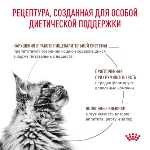 Сухой Корм Royal Canin  GASTROINTESTINAL HAIRBALL ДИЕТА ДЛЯ КОШЕК ДЛЯ ПРЕДОТВРАЩЕНИЯ ОБРАЗОВАНИЯ ВОЛОСЯНЫХ КОМОЧКОВ, 2 кг фото 6