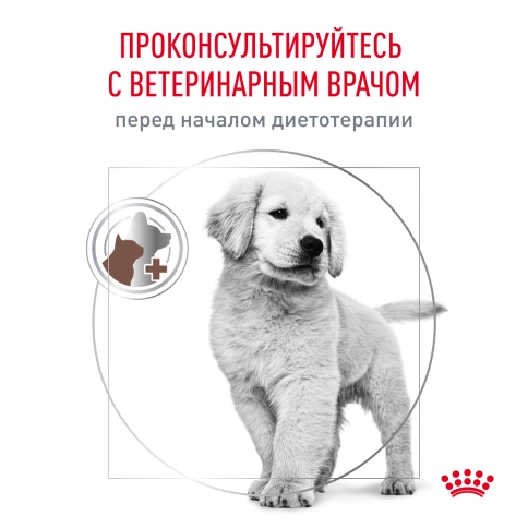 Сухой корм Royal Canin Gastrointestinal Puppy для щенков, 2.5 кг фото 6
