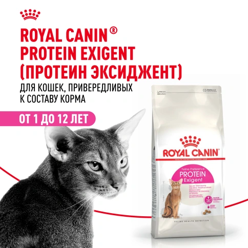 Сухой корм Royal Canin Protein Exigent для кошек, фото 12