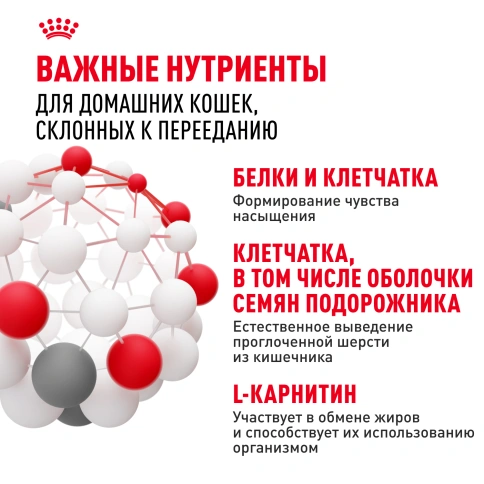 Сухой Корм Royal Canin INDOOR APPETITE CONTROL (ИНДОР АПЕТАЙТ КОНТРОЛ)Питание для кошек, склонных к перееданию, живущих в помещении, в возрасте от 1 года до 7 лет, 2 кг фото 5