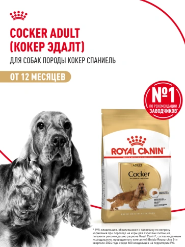 Сухой корм Royal Canin Cocker Adult для собак породы кокер-спаниель, 3 кг фото 11
