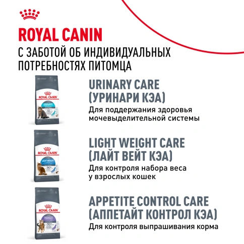 Сухой Корм Royal Canin DIGESTIVE CARE (ДАЙДЖЕСТИВ КЭА)Питание для кошек в возрасте от 1 года и старше, обеспечивает здоровье кожи, красоту и блеск шерсти после 21 дня кормления, 2 кг фото 10