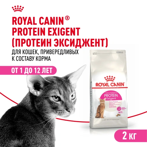 Сухой Корм Royal Canin PROTEIN EXIGENT (ПРОТЕИН ЭКСИДЖЕНТ)Питание для кошек в возрасте от 1 года до 12 лет, особенно привередливых к составу продукта фото 1