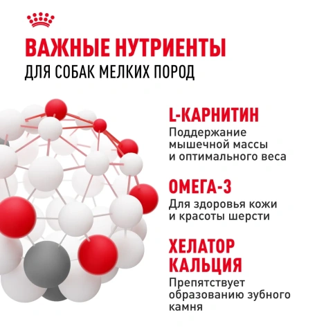 Сухой корм Royal Canin Mini Adult для взрослых собак мелких пород, 15 кг фото 5