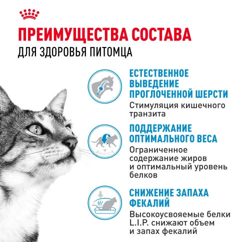 Сухой Корм Royal Canin INDOOR (ИНДОР)Питание для кошек, постоянно живущих в помещении, в возрасте от 1 года до 7 лет, 2 кг фото 2