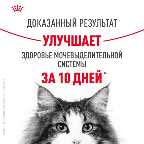 Сухой Корм Royal Canin URINARY CARE (УРИНАРИ КЭА)Питание для кошек, обеспечивающее профилактику образования камней в мочевыводящих путях и снижение риска мочекаменной болезни в 2 раза через 10 дней кормления, 2 кг фото 9