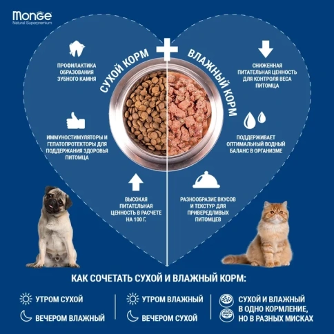 Влажный корм Monge Monoprotein Solo Only Lamb паштет из ягненка для собак, 150 г фото 3