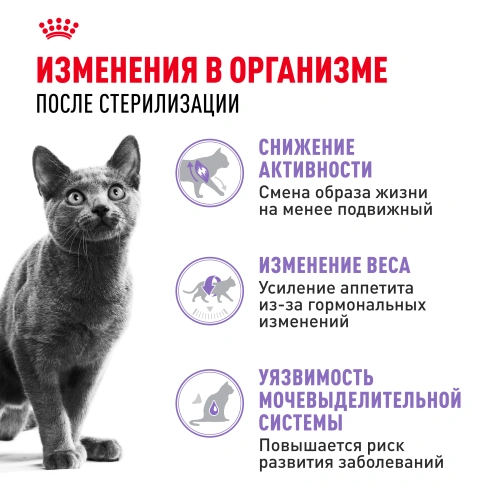 Сухой Корм Royal Canin STERILISED (СТЕРИЛАЙЗД)Питание для кастрированных котов и стерилизованных кошек в возрасте от 1 года до 7 лет; поддерживает оптимальный вес, снижает риск заболеваний мочевыводящих путей фото 2