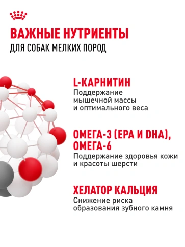 Сухой корм Royal Canin Mini Adult для взрослых собак, 4 кг фото 19