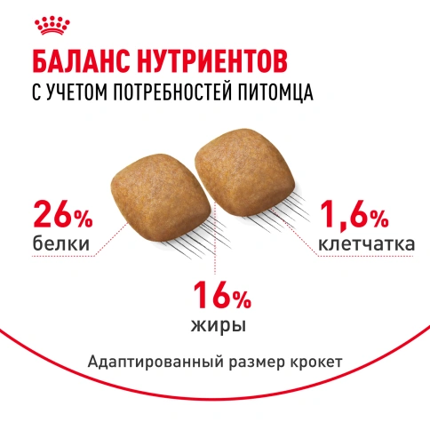 ухой корм Royal Canin Pomeranian Adult для собак породы померанский шпиц, 1.5 кг фото 5