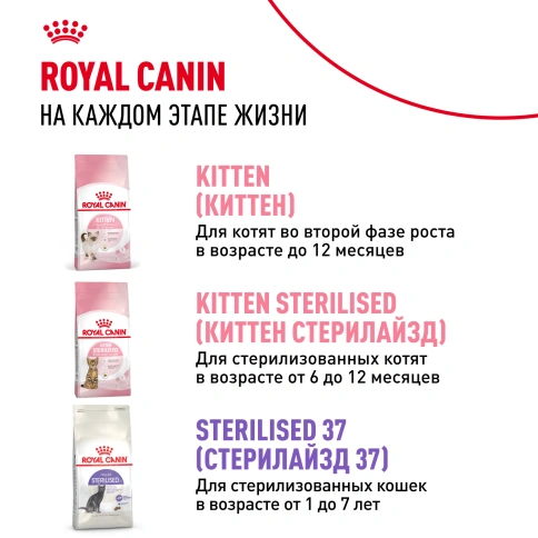 Сухой Корм Royal Canin  KITTEN STERILISED (КИТТЕН СТЕРИЛАЙЗД)Питание для стерилизованных котят с момента операции до 12 месяцев, 2 кг фото 9