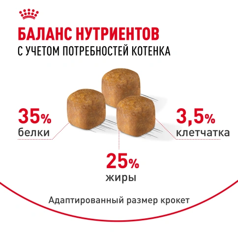 Сухой Корм Royal Canin KITTEN SPHYNX (КИТТЕН СФИНКС) Birth & GrowthСпециальное питание для кошек породы сфинкс в возрасте от 4  до 12 месяцев, 2 кг фото 4
