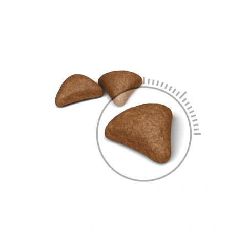Сухой корм Royal Canin Hairball Care для взрослых кошек, для выведения волосяных комочков, 10 кг фото 6
