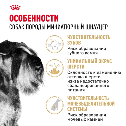 Сухой корм Royal Canin Miniature Schnauzer Adult для собак породы миниатюрный шнауцер, 7.5 кг фото 2