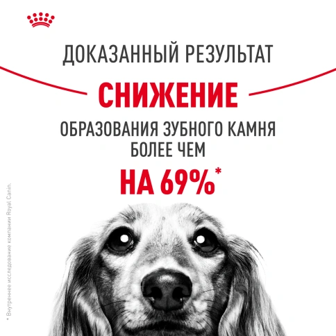 Сухой корм Royal Canin Mini Dental Care для собак, 1 кг фото 11