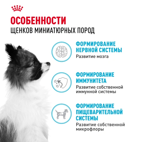 Сухой корм Royal Canin X-Small Puppy для щенков, 1.5 кг фото 2