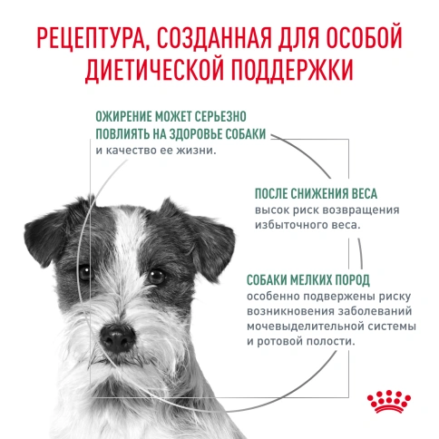 Сухой корм Royal Canin Satiety Small Dogs для собак мелких пород для снижение веса, 3 кг фото 2