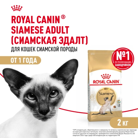 Сухой Корм Royal Canin SIAMESE (СИАМИЗ) Специальное питание для кошек сиамской породы, а также для кошек сиамо-ориентальной группы пород в возрасте от 1 года и старше, 2 кг фото 1