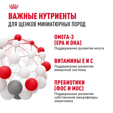 Сухой корм Royal Canin X-Small Puppy для щенков, 3 кг фото 6