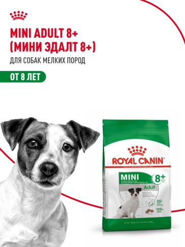 Сухой корм Royal Canin Mini Adult 8+ для пожилых собак, 2 кг фото 14