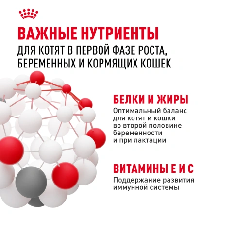 Сухой Корм Royal Canin  MOTHER AND BABYCAT (МАЗЕР ЭНД БЕБИКЭТ)Питание для котят в возрасте с 1 до 4 месяцев, а также беременных и лактирующих кошек, 4 кг фото 5