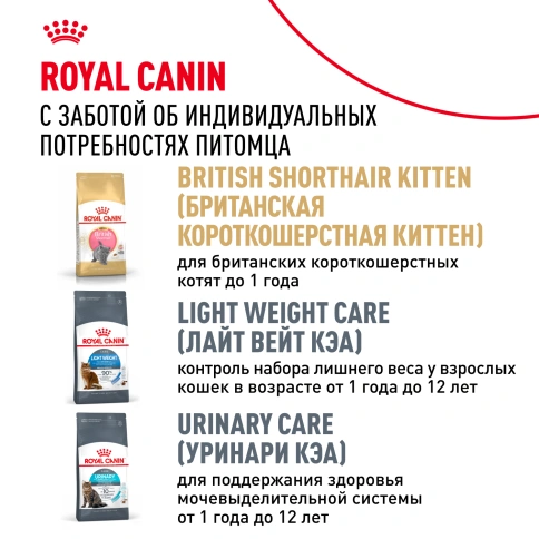 Сухой Корм Royal Canin BRITISH SHORTHAIR (БРИТИШ ШОРТХЭЙР)Специальное питание для кошек породы британская короткошерстная, а также для кошек породы шотландская вислоухая в возрасте от 1 года и старше, 2 кг фото 10