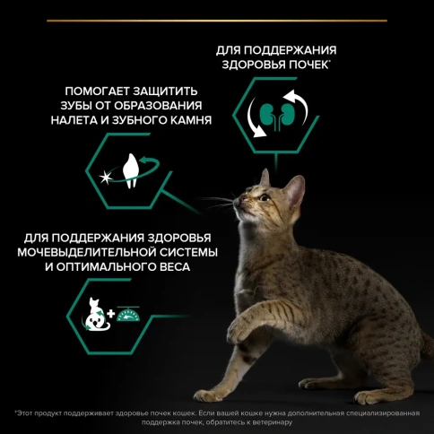 Сухой корм Purina Pro Plan Cat Adult Sterilised Opti-Renal для стерилизованных кошек, с кроликом, 200 г фото 2