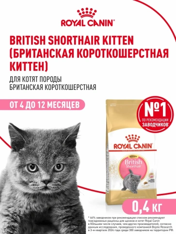 Сухой корм Royal Canin British Shorthair Kitten для котят породы британская короткошерстная, 400 г фото 1