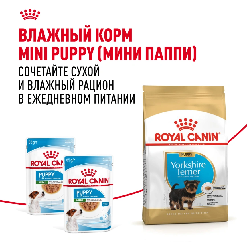 Сухой корм Royal Canin Yorkshire Terrier Puppy для щенков, 500 г фото 8