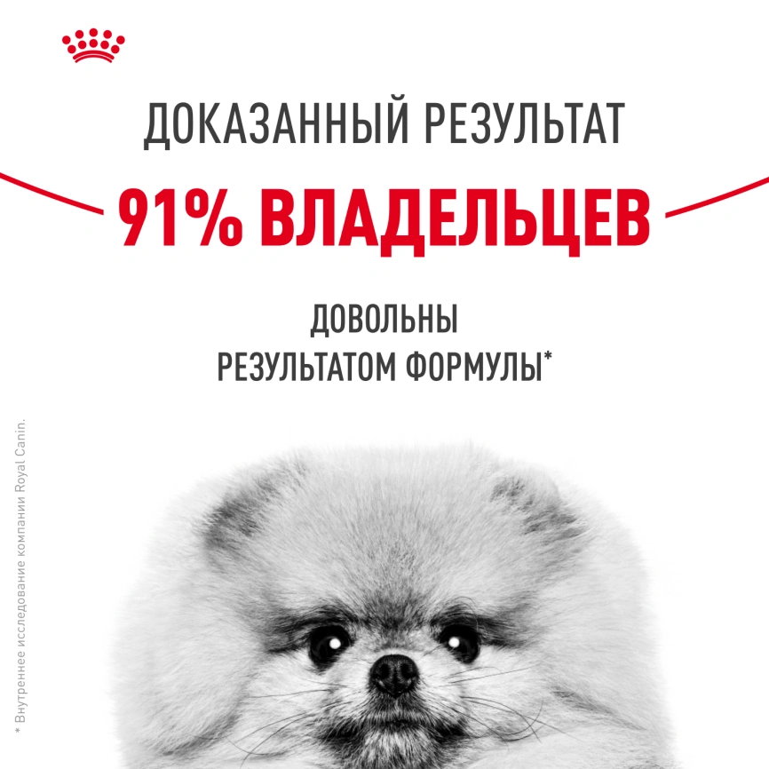 Сухой корм Royal Canin Mini Dermacomfort для собак, 1 кг фото 11