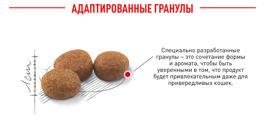 Сухой корм Royal Canin Sterilised для кастрированных котов и стерилизованных кошек, 400 г фото 6