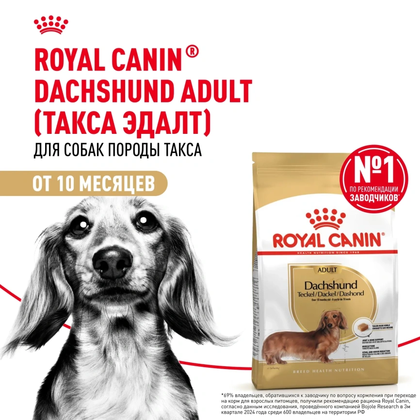 Сухой корм Royal Canin Dachshund Adult для собак породы такса, 1,5 кг фото 1