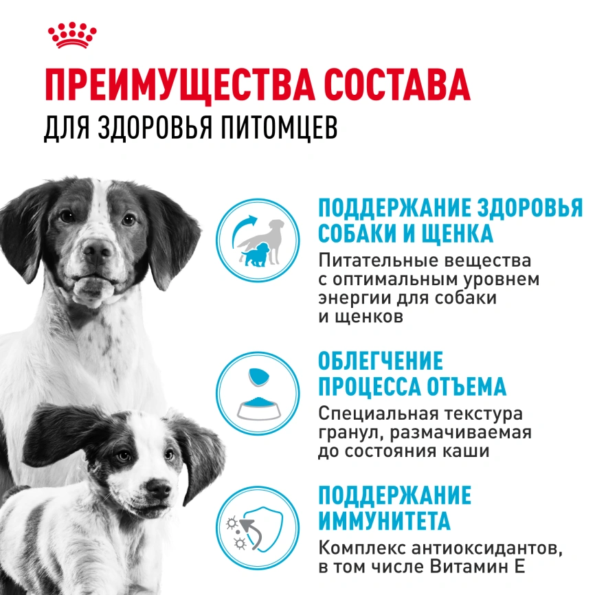 Сухой корм Royal Canin Medium Starter Mother &amp; Babydog для щенков и кормящих сук, 4 кг фото 2